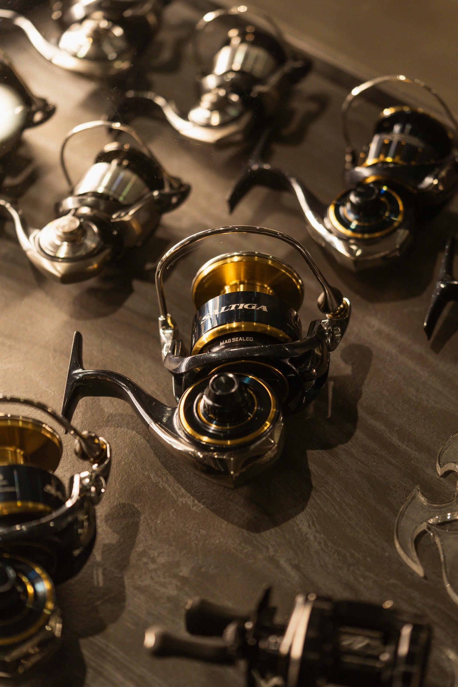 Fishing Reels