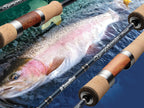 2024 Symphonia Trout Somerise