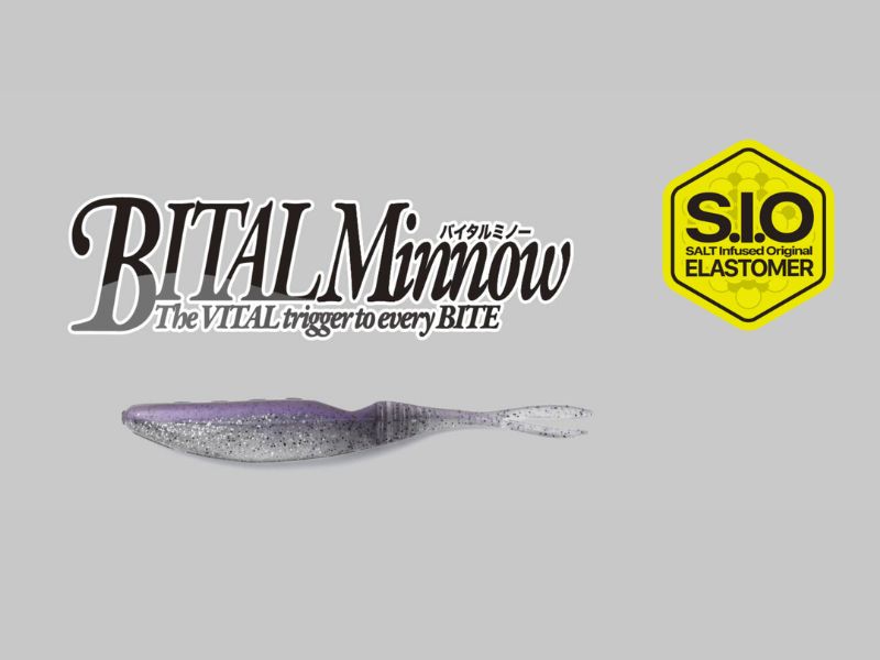 Bital Minnow Main image