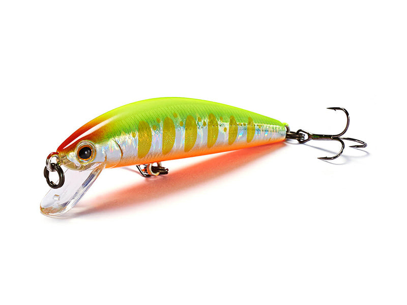 Trout Tune Main image