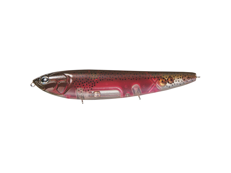 Amazon | #323 Spawning Trout