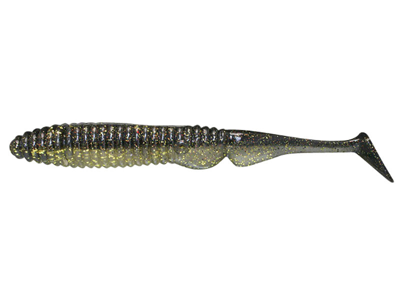 Ammonite Shad
