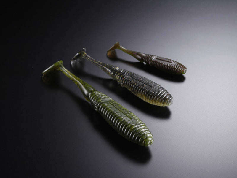 Ammonite Shad