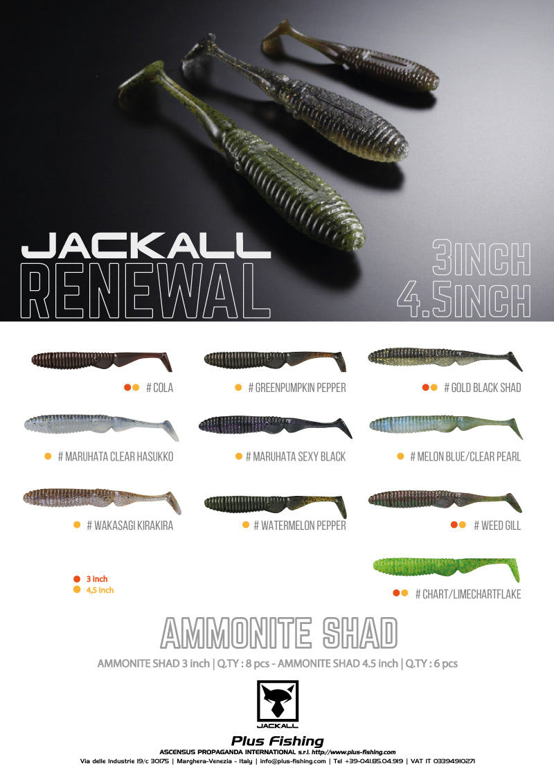 Ammonite Shad