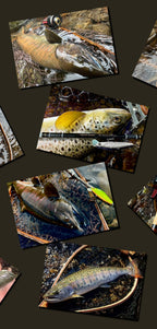 Artisan Mountain Stream