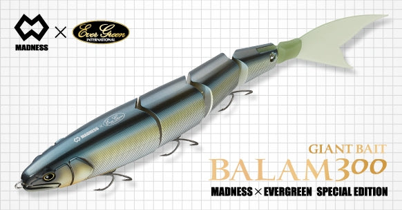Balam 300 Immagine principale del prodotto
