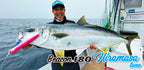 Beacon 180 Hiramasa Tune