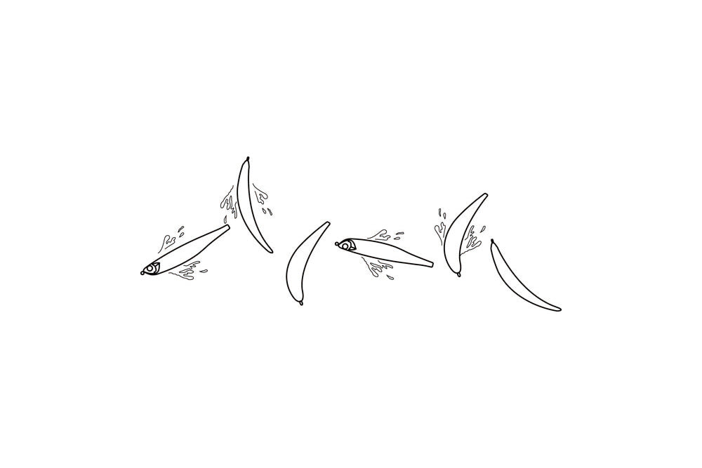 Bentminnow 86f