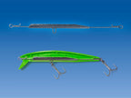 Big Backer Anchopeed