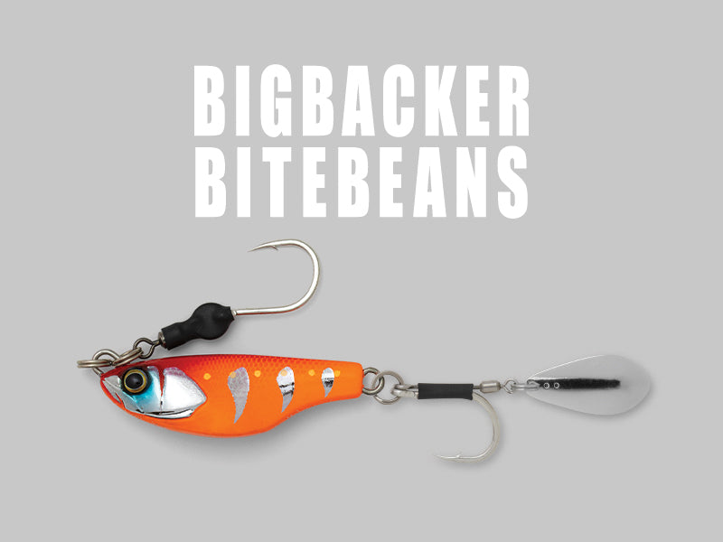 Big Backer Bitebeans