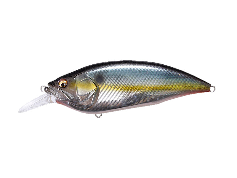 Big-m 4.0 | Jukucho Shad