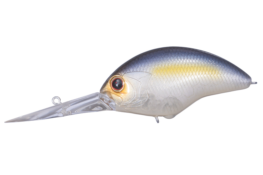 Blitz Max Plus-dr | P23tasty Shad
