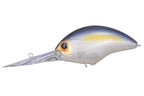 Blitz Max Plus-dr | P23tasty Shad