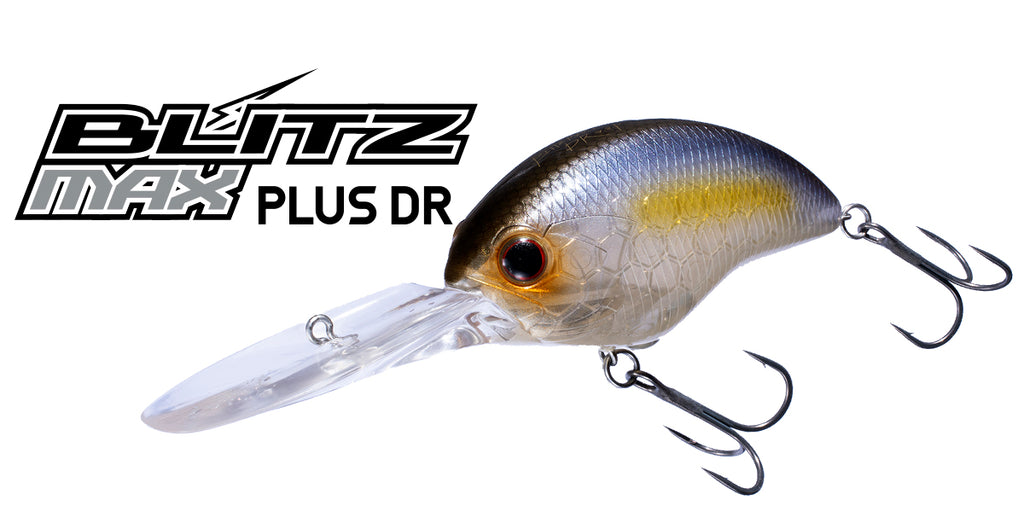 Blitz Max Plus-dr