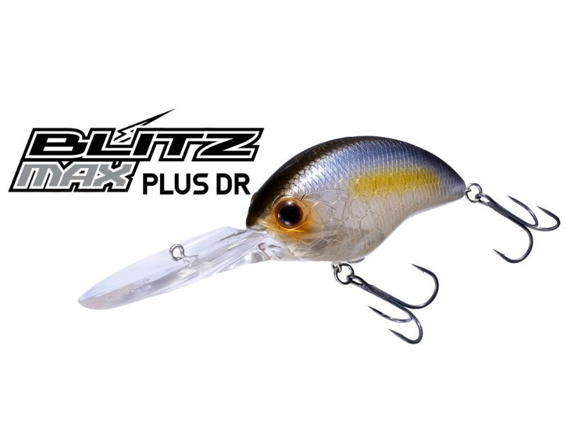 Blitz Max Plus-dr Immagine principale del prodotto