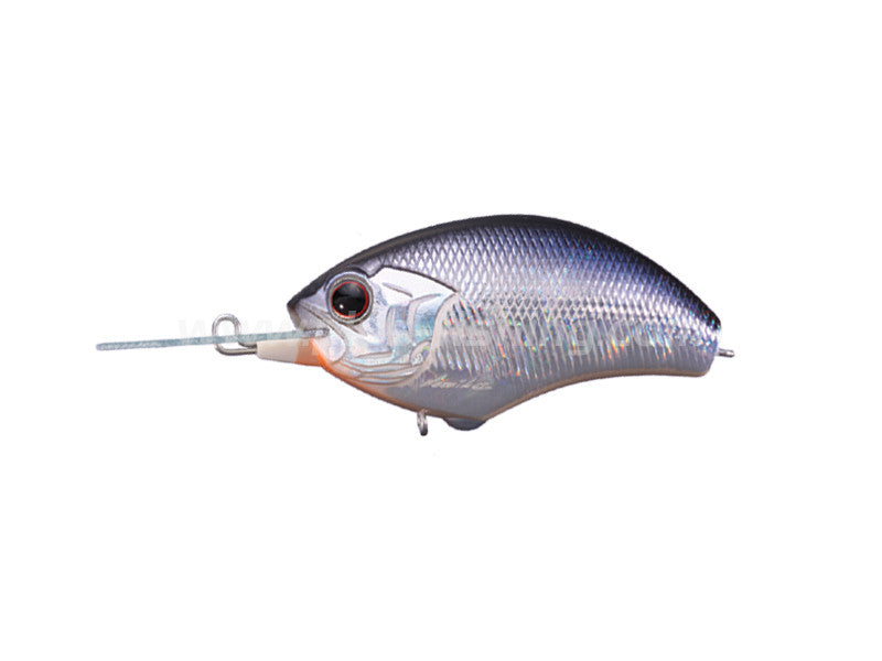 Blitz Mr | H09 Crystal Blue Shiner