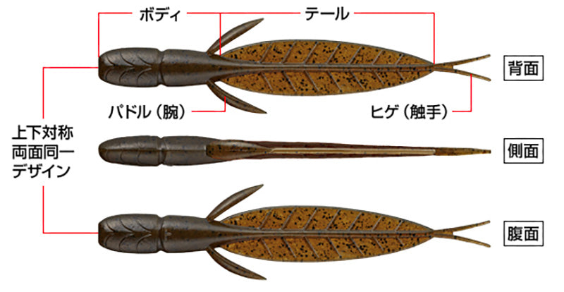 C-4 Leech 3.1”