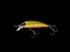 Chubble Sr | Gold & Black