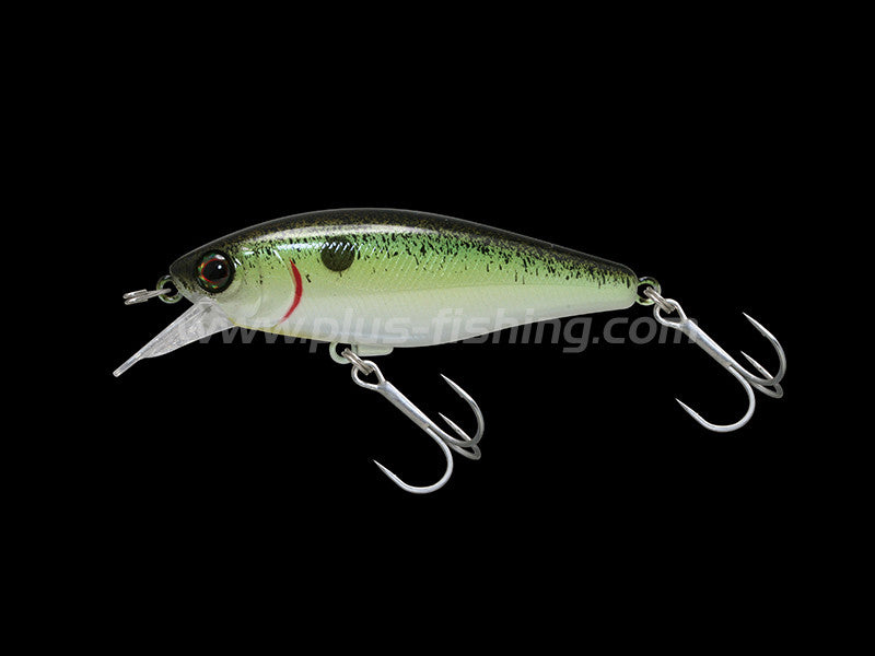 Chubble Sr | Sk Blow Black Special