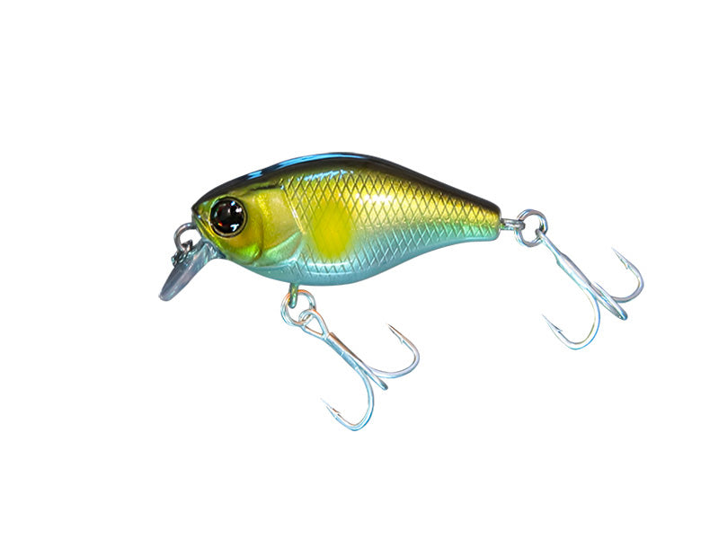 Chubby 38 – Plus Fishing Store