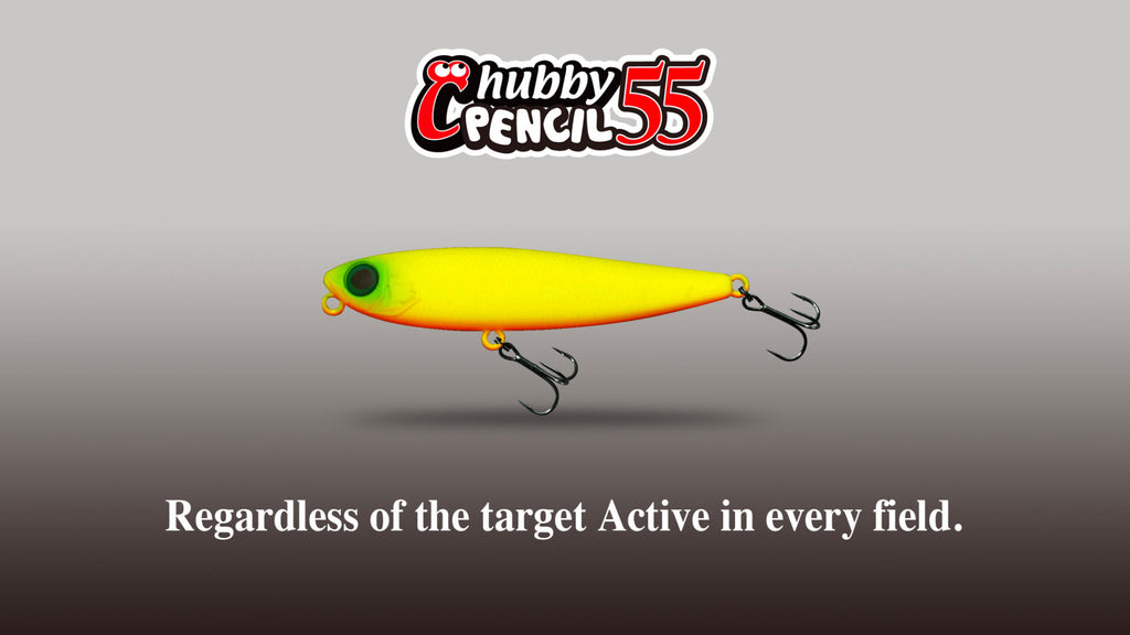 Chubby Pencil 55