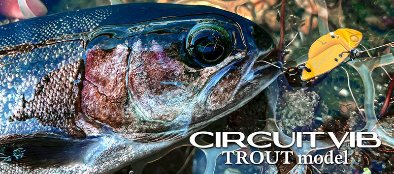 Circuit Vib Trout Model