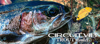 Circuit Vib Trout Model
