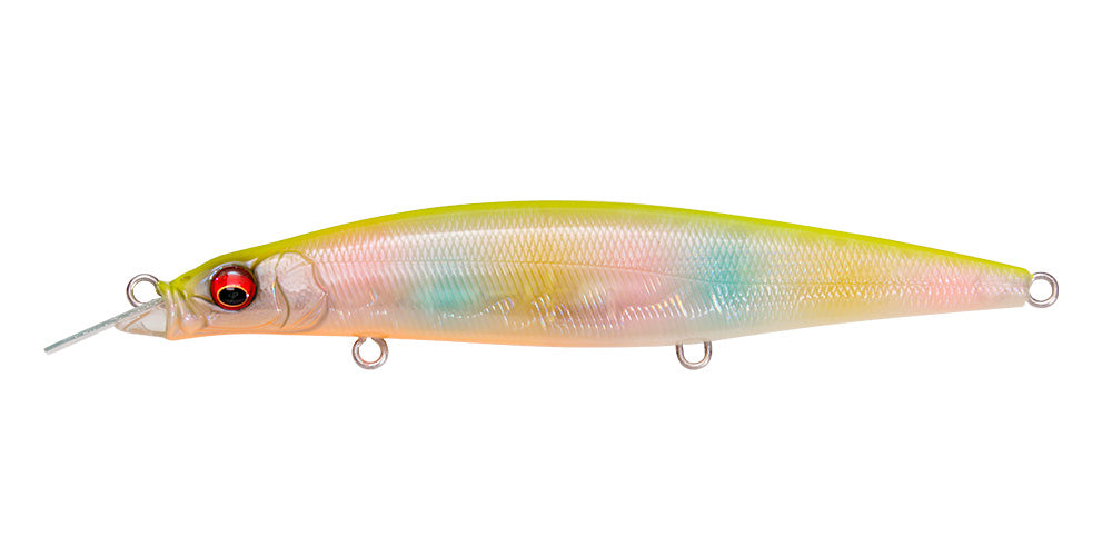 Cookai Bring | 130f Shell Skin Chart Back Rainbow