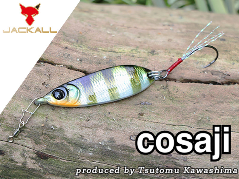 Cosaji Main image