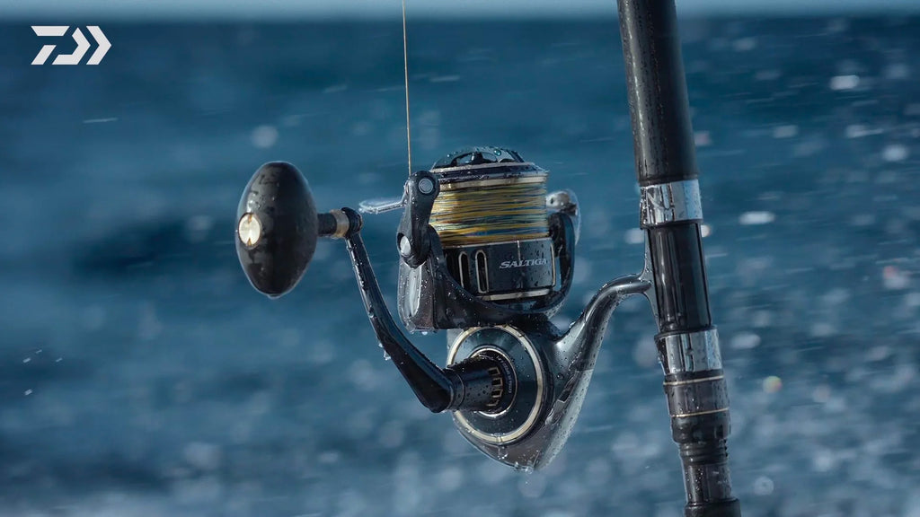 Daiwa 25 Saltiga G