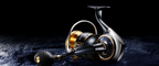 Daiwa 25 Saltiga G