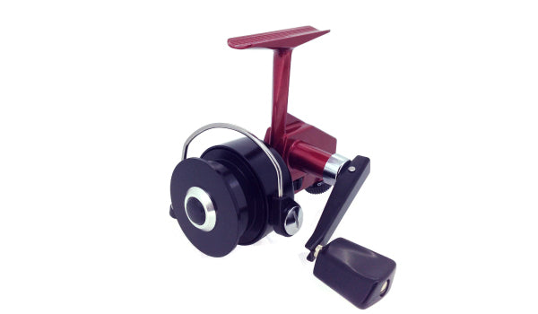 Daysprout Cardinal 3rd