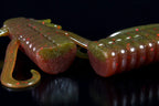 Deathadder Lizard
