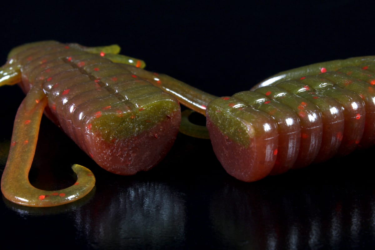 Deathadder Lizard