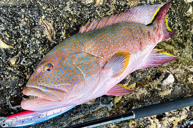Zenaq Defi Muthos Sonio | Plus Fishing Store