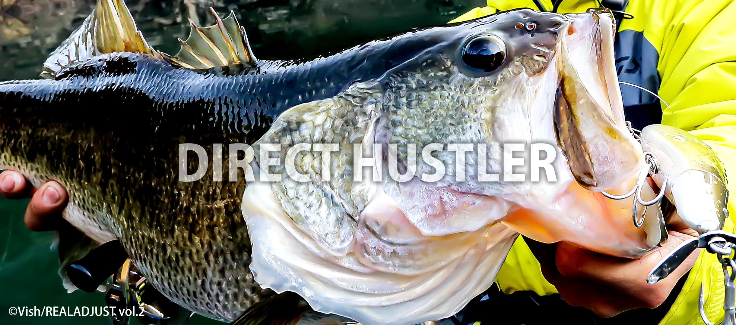 Direct Hustler