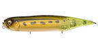 Dog-x Diamante | Rattle Frog-cct