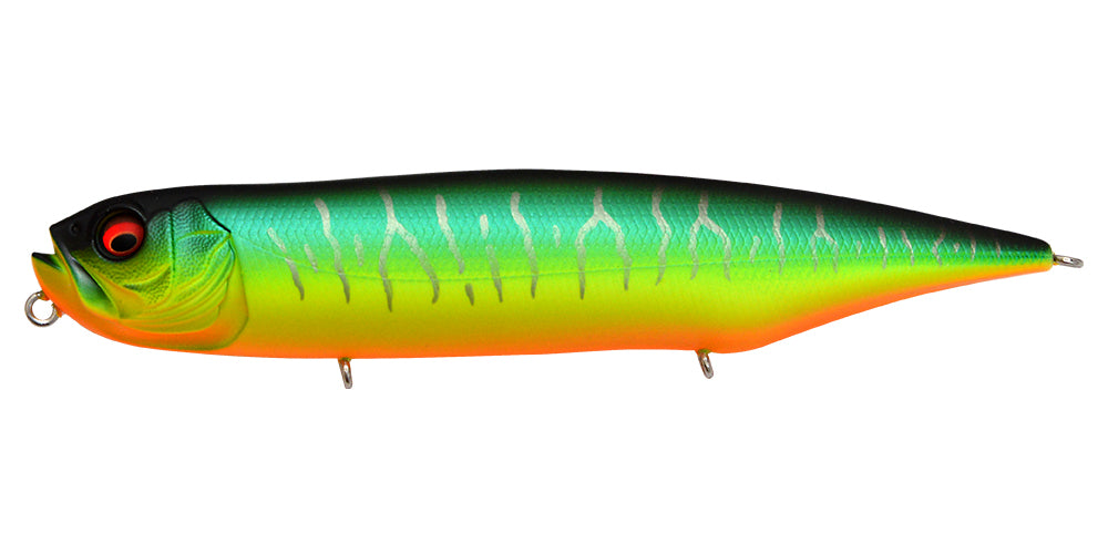 Dog-x Diamante | Rattle Mat Tiger