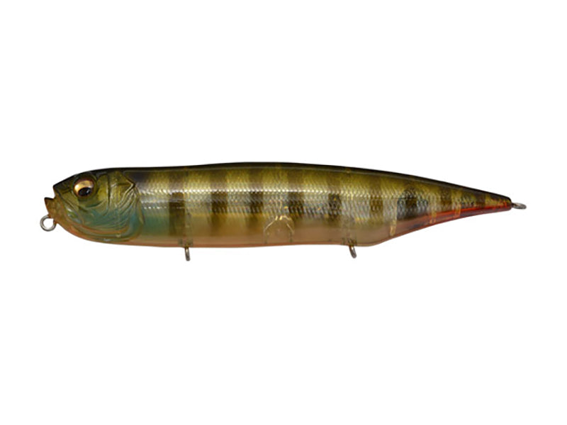 Dog-x Diamante | Silent Biwako Clear Gill