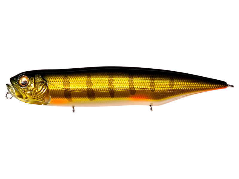 Dog-x Diamante | Silent Wagin Peacock
