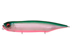 Dog-x Diamante | Sw Pm Bayside Green Pb
