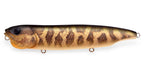 Dogmax | Sliding Model Fa Baby Raigyo