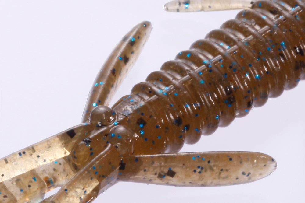 Dolive Shrimp