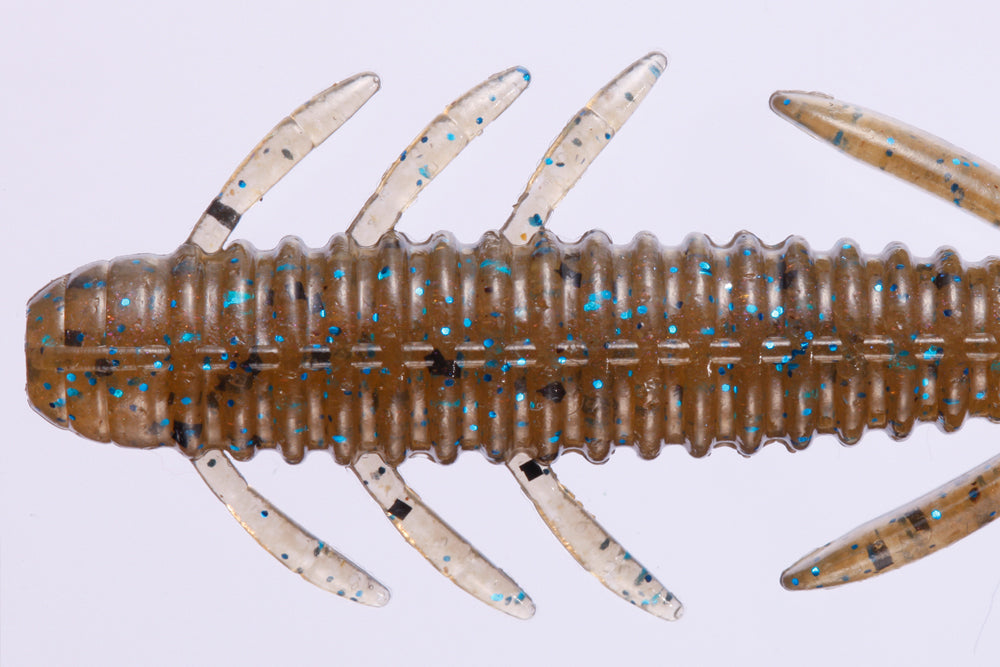 Dolive Shrimp