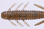 Dolive Shrimp