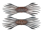 Drift Crab 45 | Cinnamon Dappi Shrimp