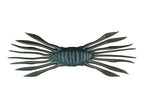 Drift Crab 45