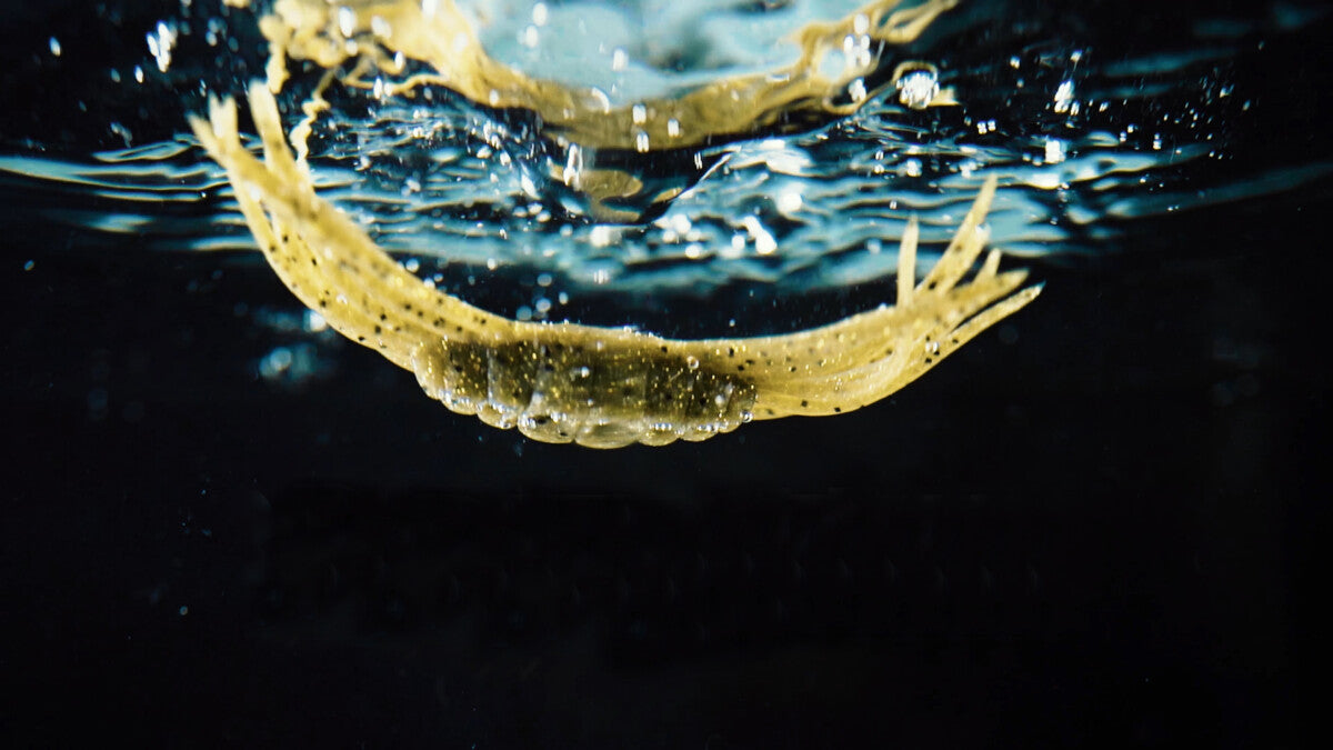 Drift Crab 45