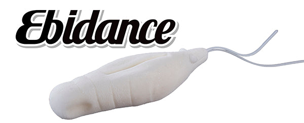 Ebidance