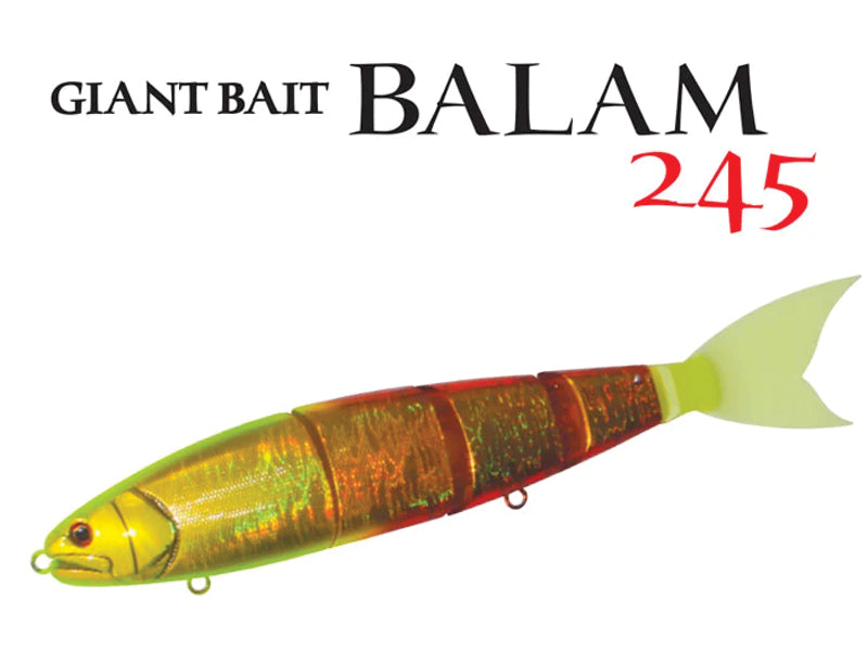 Eclipse Balam 245 Image principale du produit